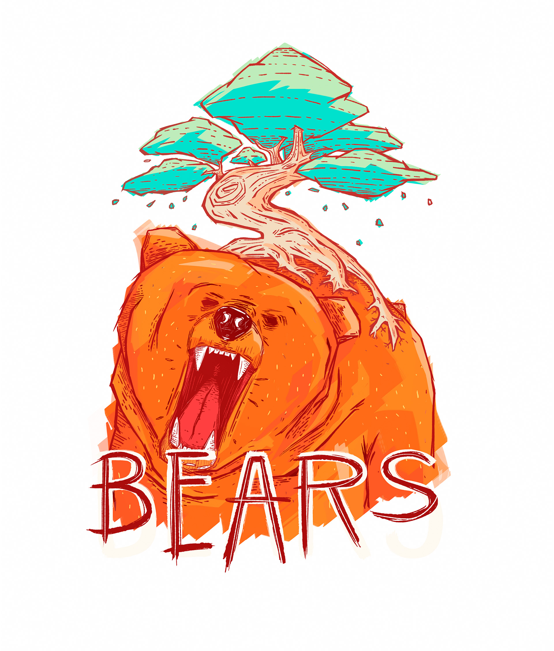 BEARS 1